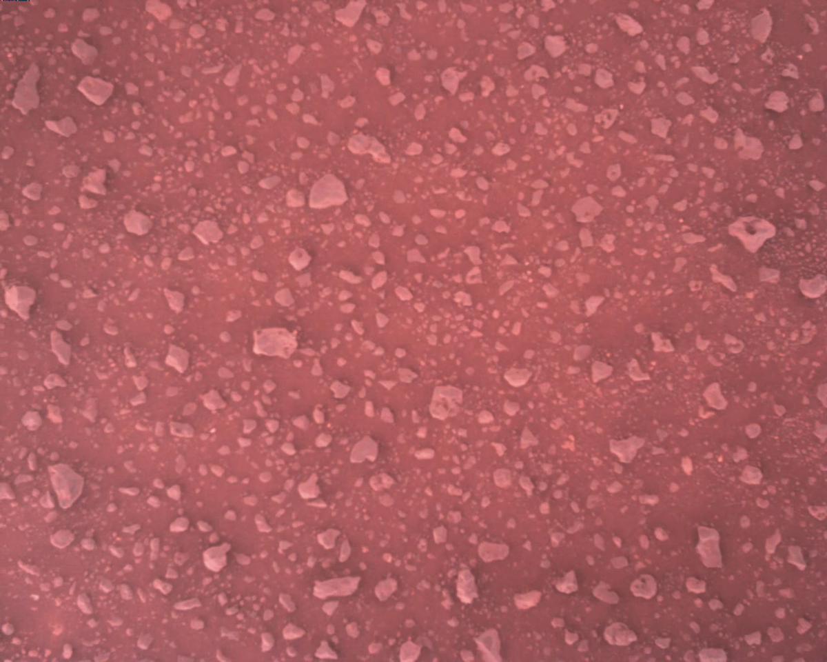 This image was taken by EDL_RDCAM onboard NASA's Mars rover Perseverance on Sol 387