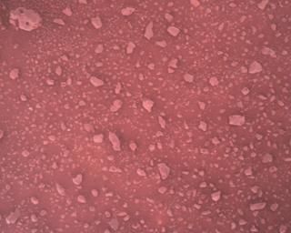 View image taken on Mars, Mars Perseverance Sol 387: Rover Down-Look Camera