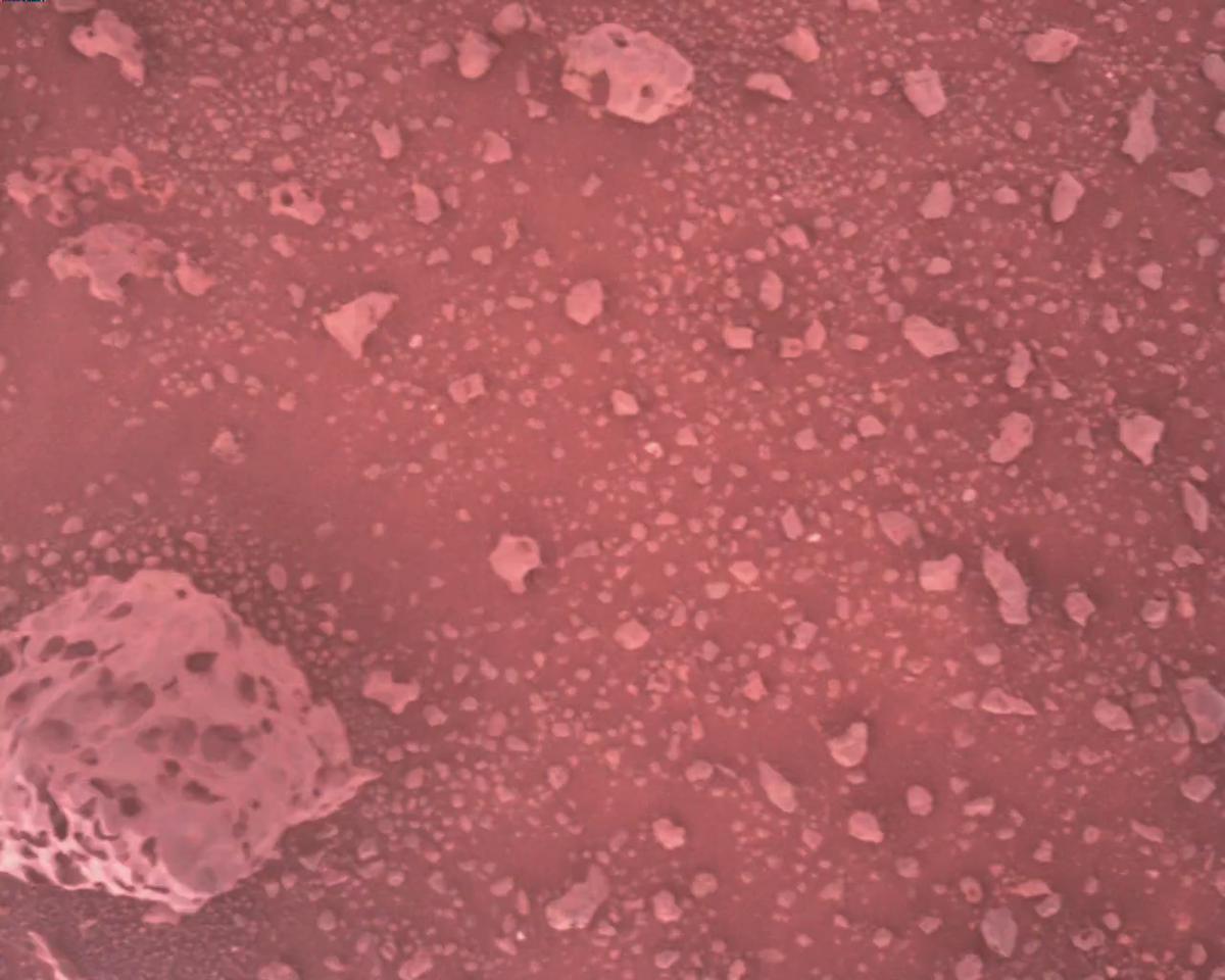 This image was taken by EDL_RDCAM onboard NASA's Mars rover Perseverance on Sol 387