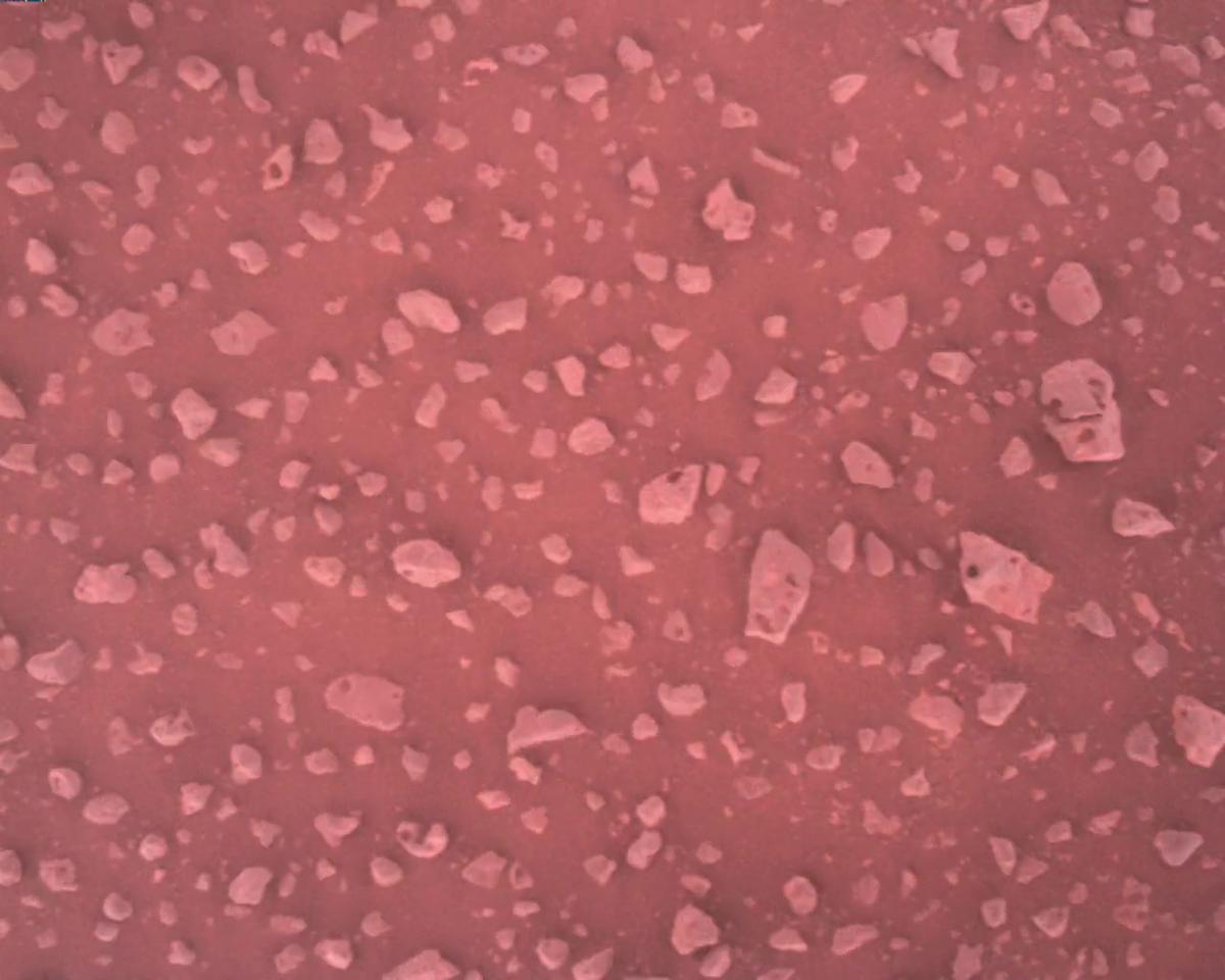 This image was taken by EDL_RDCAM onboard NASA's Mars rover Perseverance on Sol 387