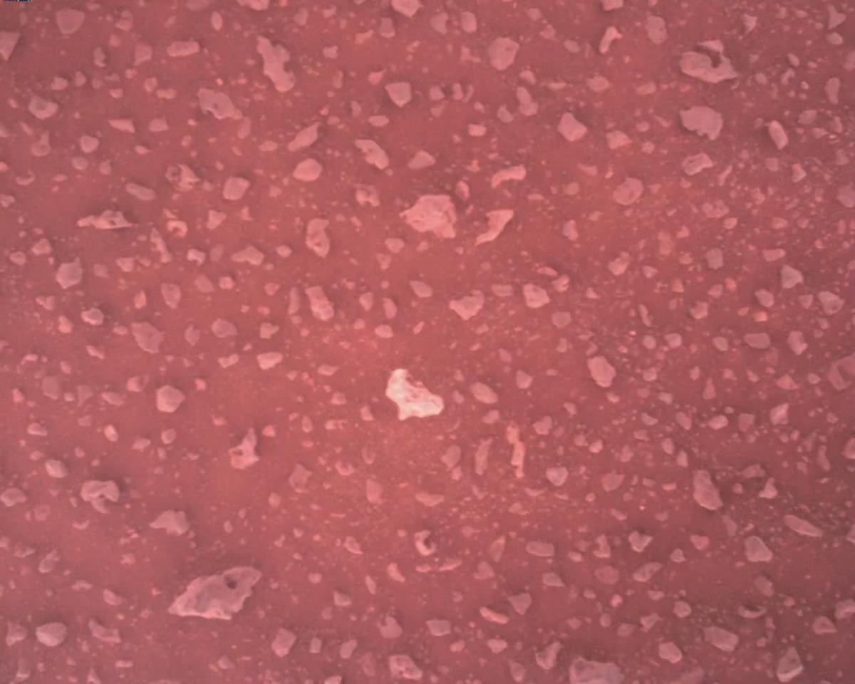 This image was taken by EDL_RDCAM onboard NASA's Mars rover Perseverance on Sol 387