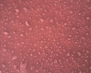 View image taken on Mars, Mars Perseverance Sol 387: Rover Down-Look Camera