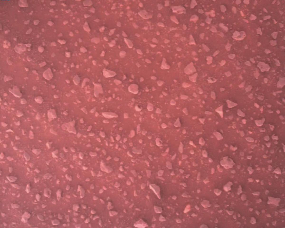 This image was taken by EDL_RDCAM onboard NASA's Mars rover Perseverance on Sol 387