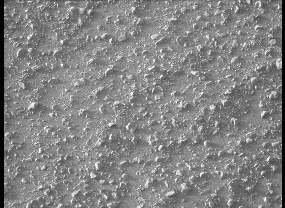 This image was taken by MCZ_LEFT onboard NASA's Mars rover Perseverance on Sol 387