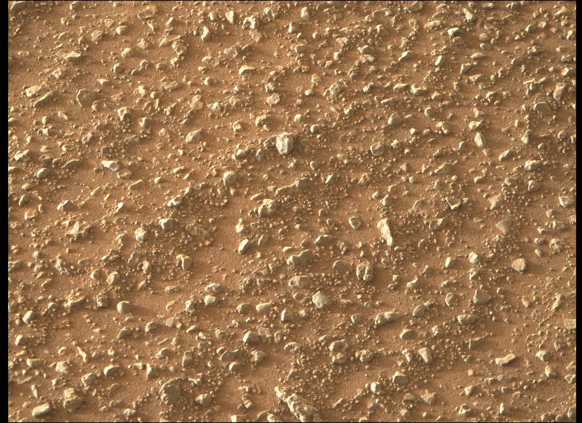 This image was taken by MCZ_RIGHT onboard NASA's Mars rover Perseverance on Sol 387