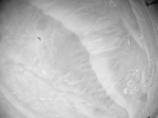 This image was taken by HELI_NAV onboard NASA's Mars rover Perseverance on Sol 388