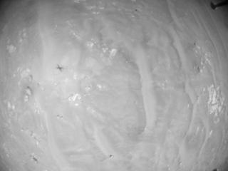 View image taken on Mars, Mars Helicopter Sol 388: Navigation Camera