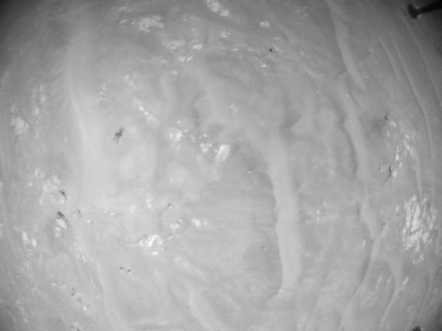 This image was taken by HELI_NAV onboard NASA's Mars rover Perseverance on Sol 388