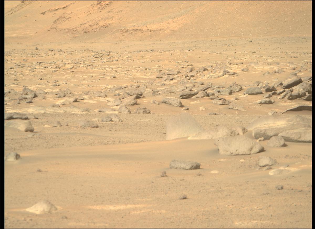 This image was taken by MCZ_RIGHT onboard NASA's Mars rover Perseverance on Sol 388