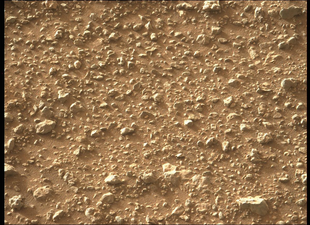 This image was taken by MCZ_LEFT onboard NASA's Mars rover Perseverance on Sol 389