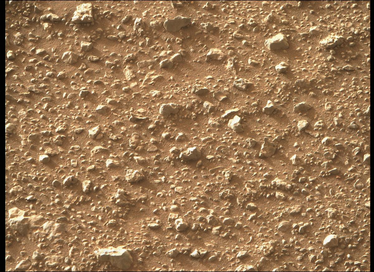 This image was taken by MCZ_RIGHT onboard NASA's Mars rover Perseverance on Sol 389
