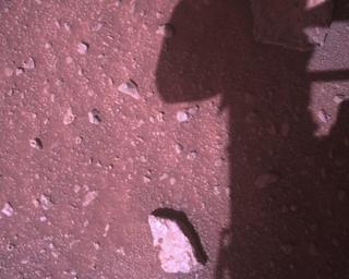 View image taken on Mars, Mars Perseverance Sol 394: Rover Down-Look Camera