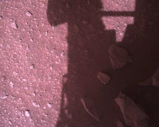 View image taken on Mars, Mars Perseverance Sol 394: Rover Down-Look Camera