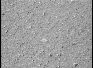 View image taken on Mars, Mars Perseverance Sol 394: Left Mastcam-Z Camera