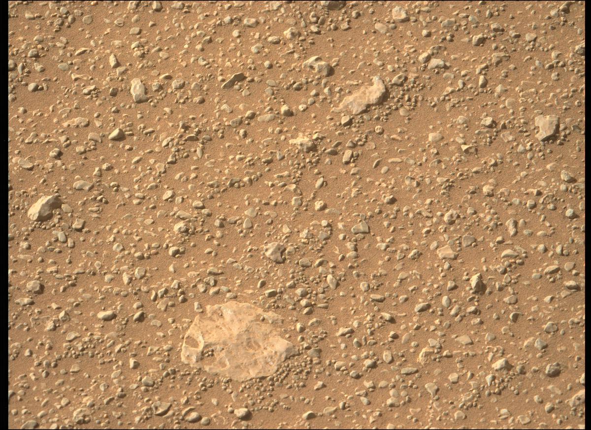 This image was taken by MCZ_LEFT onboard NASA's Mars rover Perseverance on Sol 394
