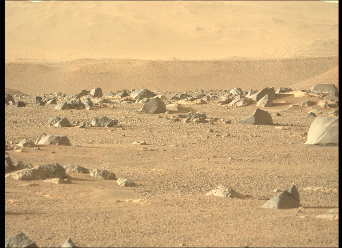 This image was taken by MCZ_LEFT onboard NASA's Mars rover Perseverance on Sol 395