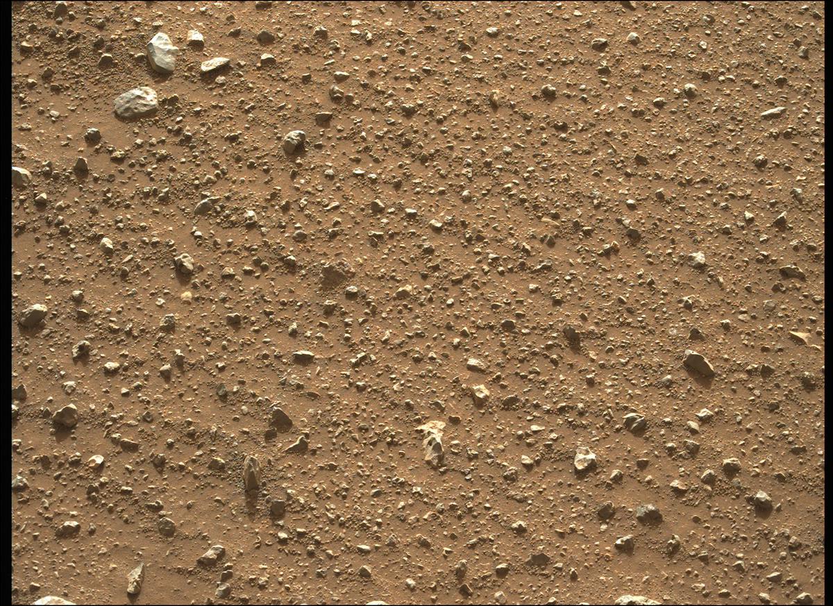 This image was taken by MCZ_LEFT onboard NASA's Mars rover Perseverance on Sol 396