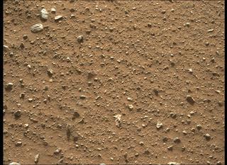 View image taken on Mars, Mars Perseverance Sol 396: Left Mastcam-Z Camera