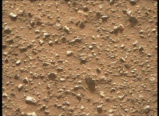 View image taken on Mars, Mars Perseverance Sol 396: Right Mastcam-Z Camera
