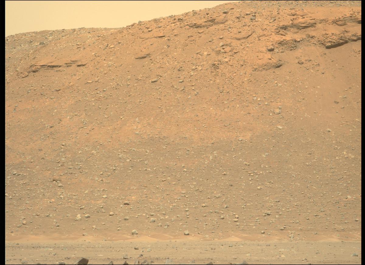 This image was taken by MCZ_LEFT onboard NASA's Mars rover Perseverance on Sol 397