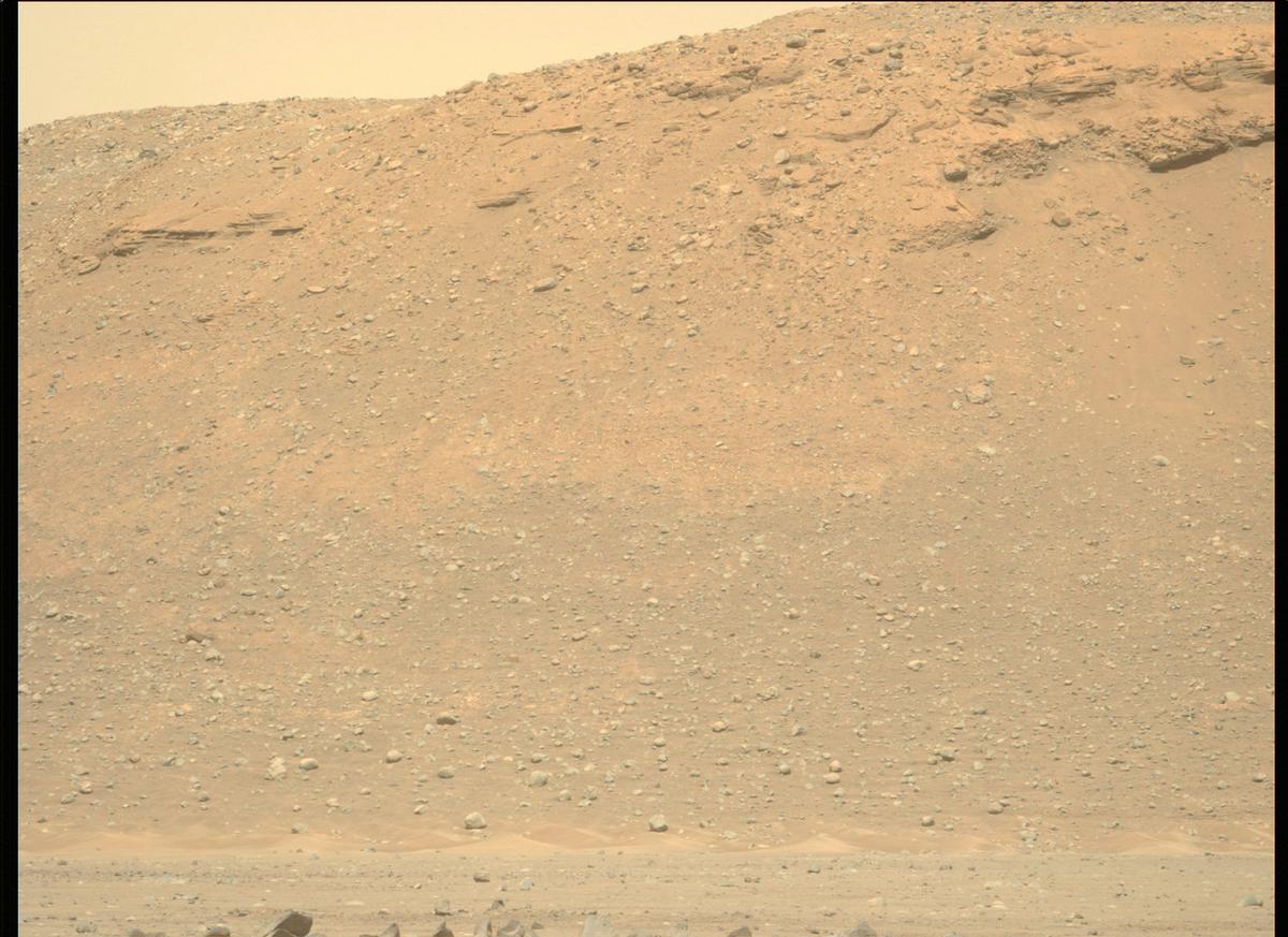 This image was taken by MCZ_LEFT onboard NASA's Mars rover Perseverance on Sol 397