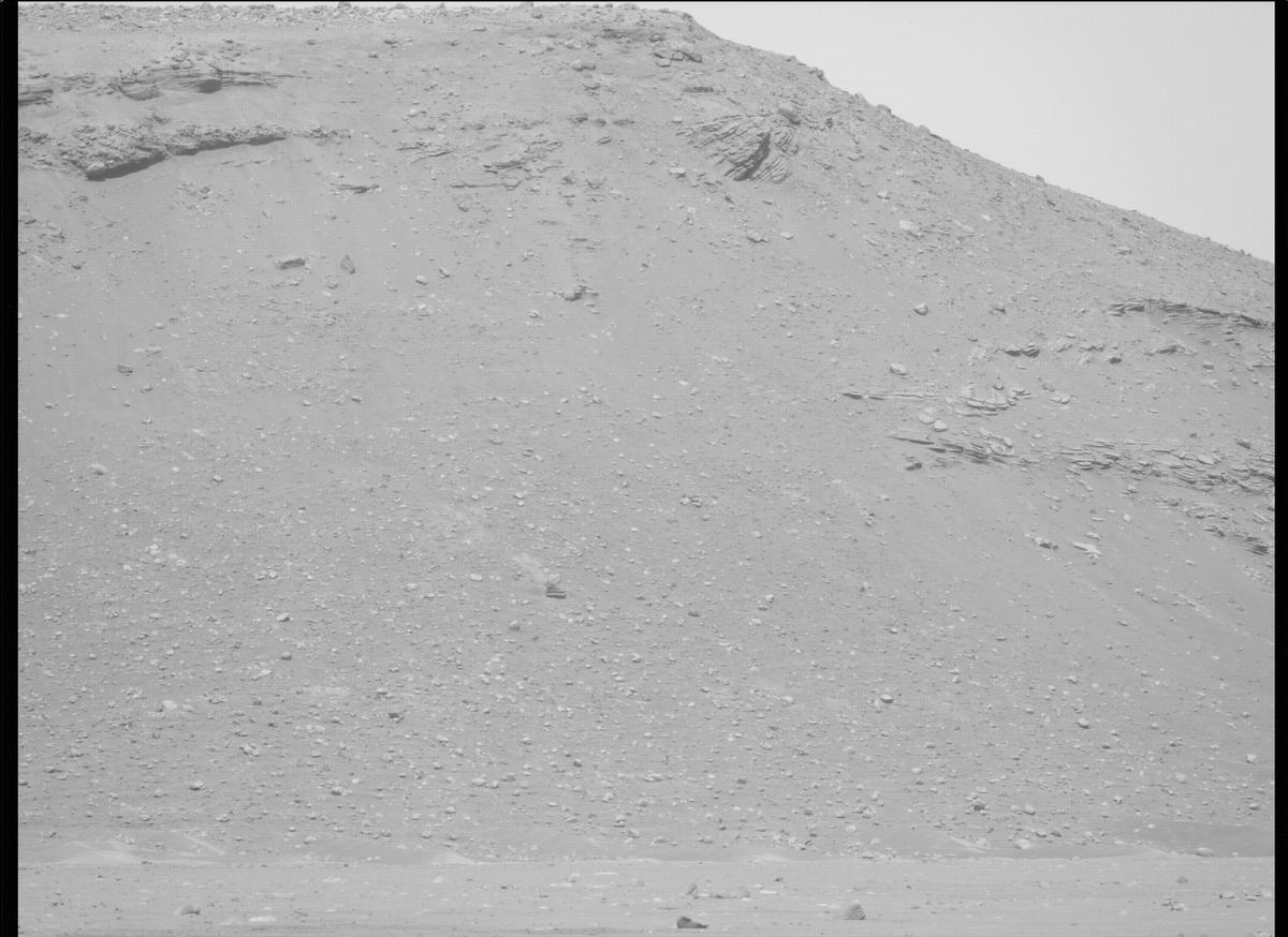 This image was taken by MCZ_LEFT onboard NASA's Mars rover Perseverance on Sol 397