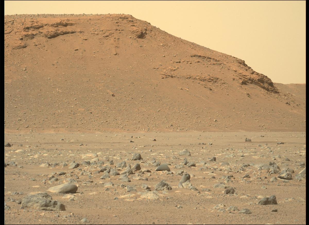 This image was taken by MCZ_LEFT onboard NASA's Mars rover Perseverance on Sol 397