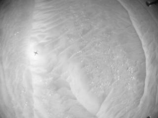 View image taken on Mars, Mars Helicopter Sol 398: Navigation Camera