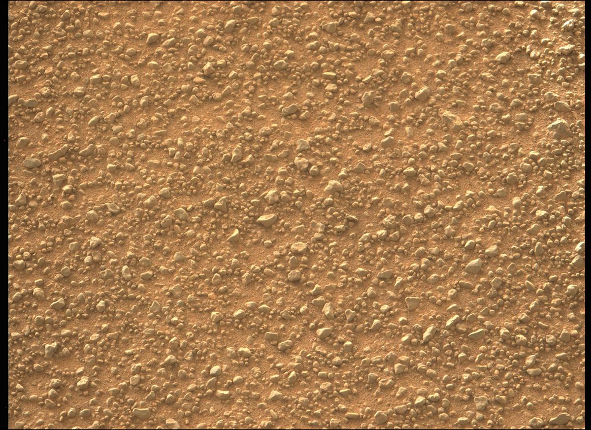 This image was taken by MCZ_LEFT onboard NASA's Mars rover Perseverance on Sol 399