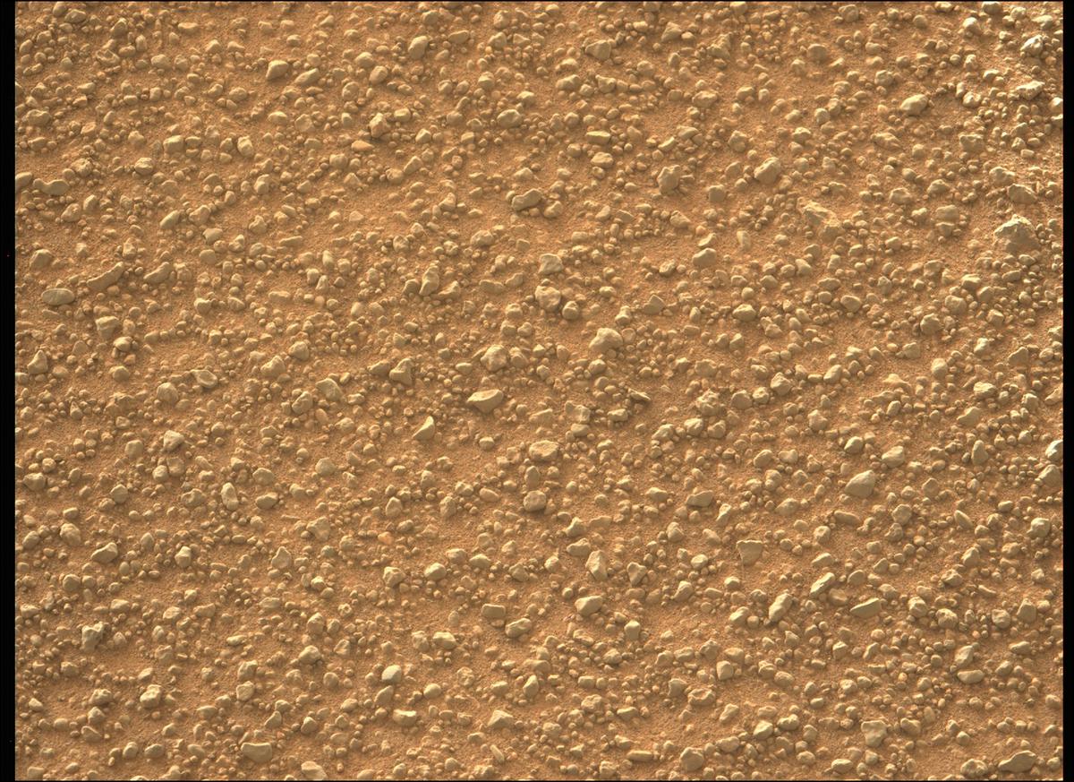This image was taken by MCZ_LEFT onboard NASA's Mars rover Perseverance on Sol 399