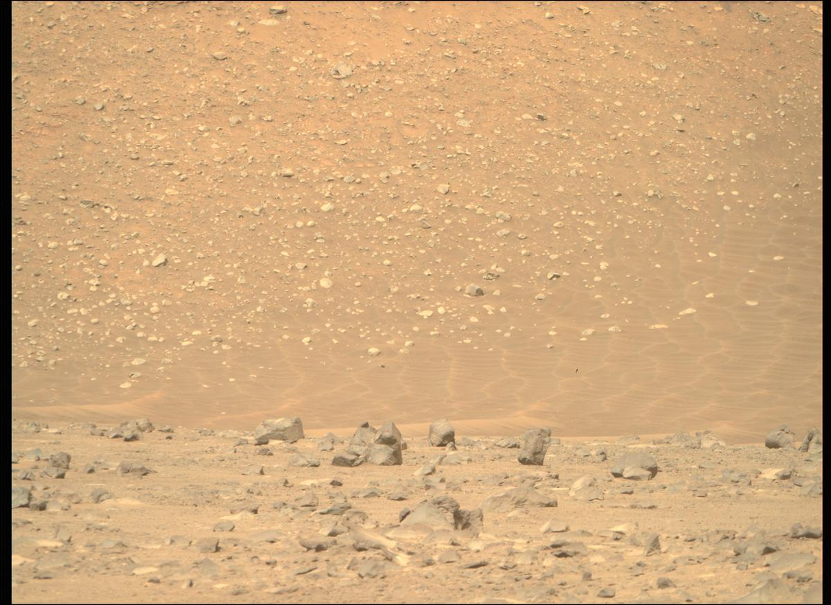 This image was taken by MCZ_RIGHT onboard NASA's Mars rover Perseverance on Sol 402