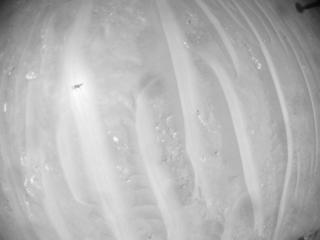 View image taken on Mars, Mars Helicopter Sol 403: Navigation Camera