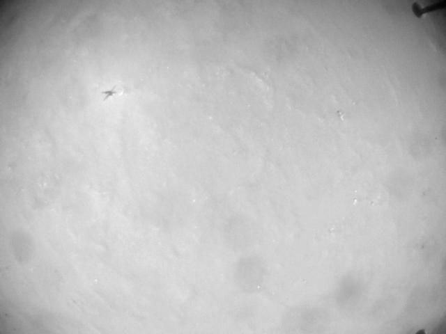 This image was taken by HELI_NAV onboard NASA's Mars rover Perseverance on Sol 403