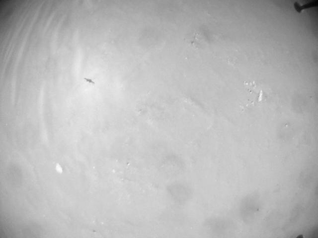 This image was taken by HELI_NAV onboard NASA's Mars rover Perseverance on Sol 403