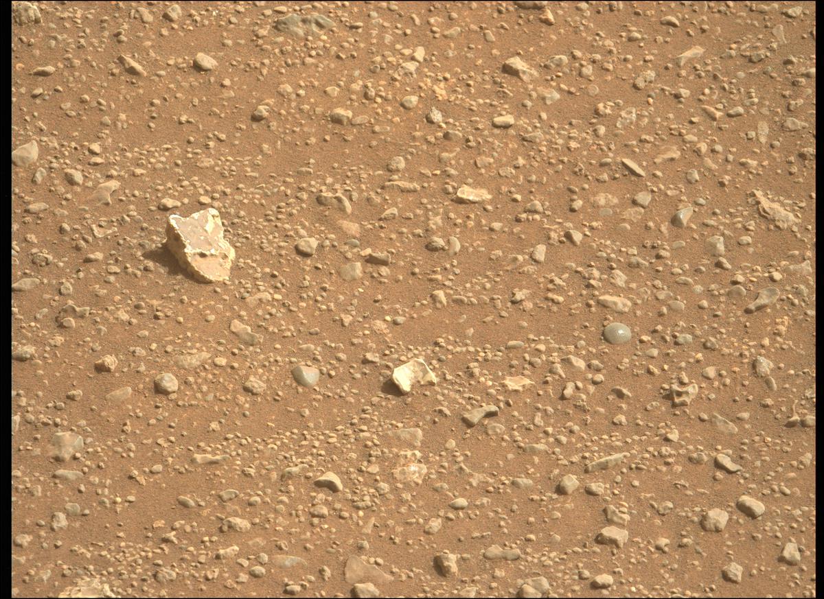 This image was taken by MCZ_LEFT onboard NASA's Mars rover Perseverance on Sol 405