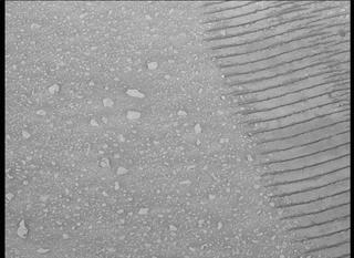 View image taken on Mars, Mars Perseverance Sol 405: Right Mastcam-Z Camera