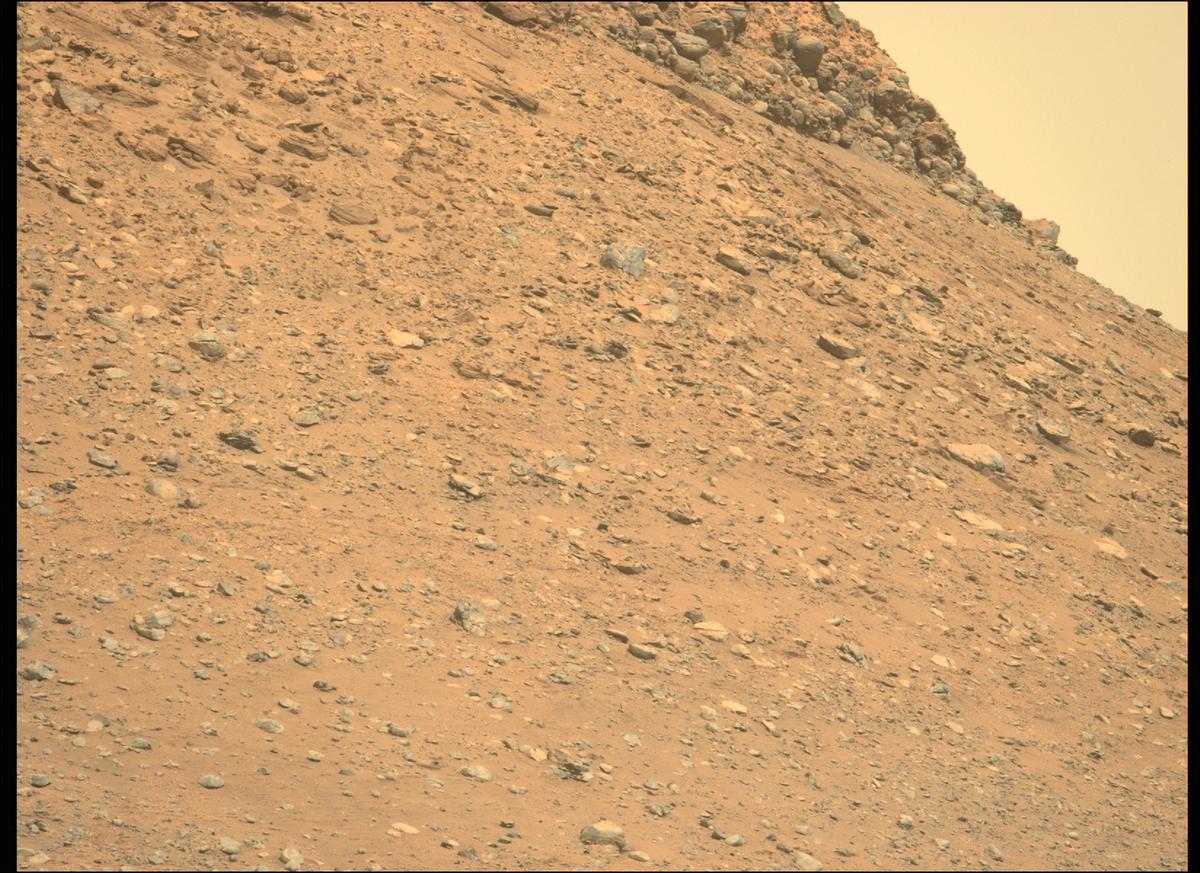 This image was taken by MCZ_LEFT onboard NASA's Mars rover Perseverance on Sol 406