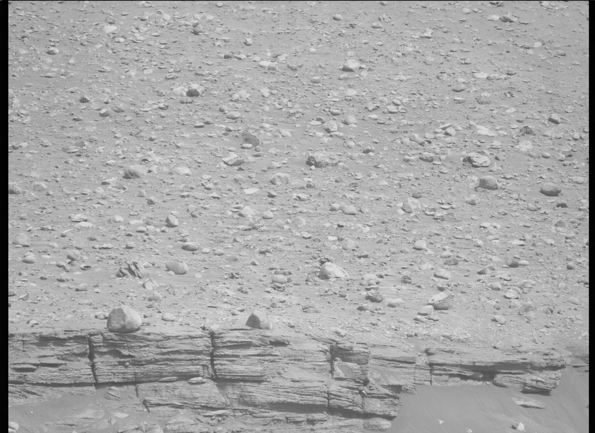 This image was taken by MCZ_LEFT onboard NASA's Mars rover Perseverance on Sol 406
