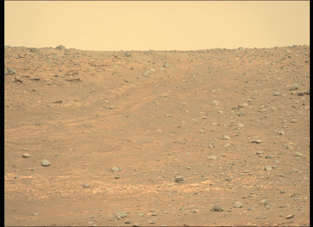This image was taken by MCZ_LEFT onboard NASA's Mars rover Perseverance on Sol 406