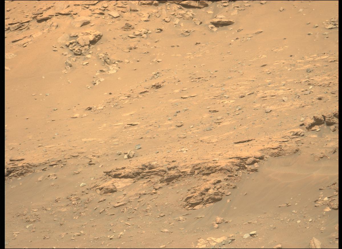 This image was taken by MCZ_LEFT onboard NASA's Mars rover Perseverance on Sol 406