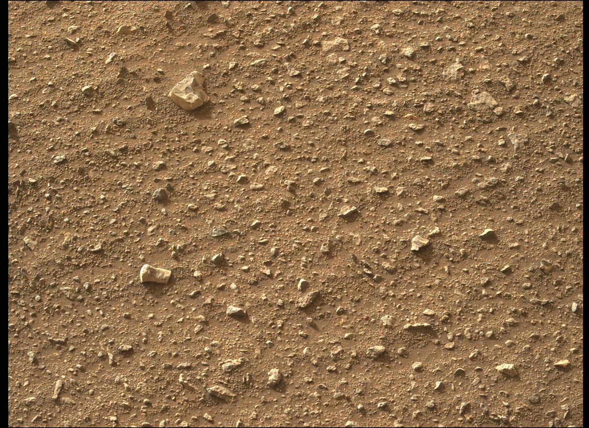 This image was taken by MCZ_LEFT onboard NASA's Mars rover Perseverance on Sol 407