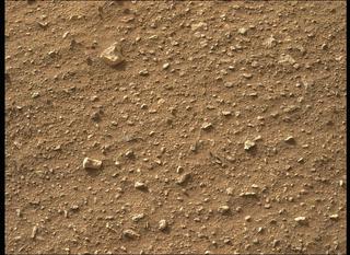 View image taken on Mars, Mars Perseverance Sol 407: Left Mastcam-Z Camera