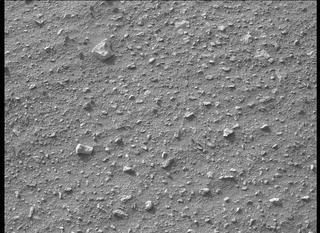View image taken on Mars, Mars Perseverance Sol 407: Left Mastcam-Z Camera