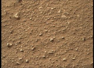 View image taken on Mars, Mars Perseverance Sol 407: Right Mastcam-Z Camera