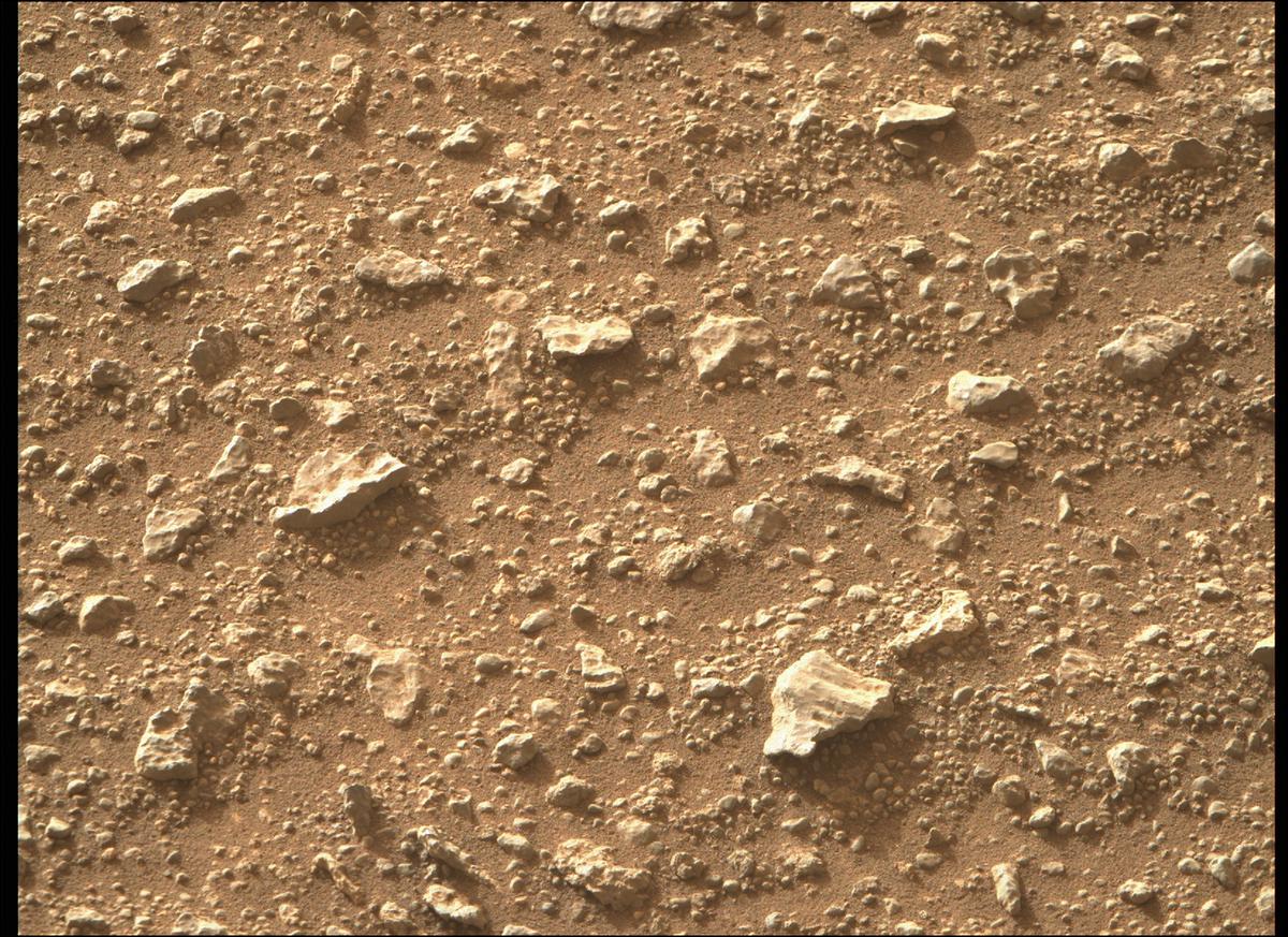 This image was taken by MCZ_RIGHT onboard NASA's Mars rover Perseverance on Sol 407