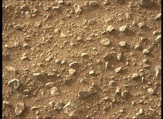View image taken on Mars, Mars Perseverance Sol 408: Left Mastcam-Z Camera