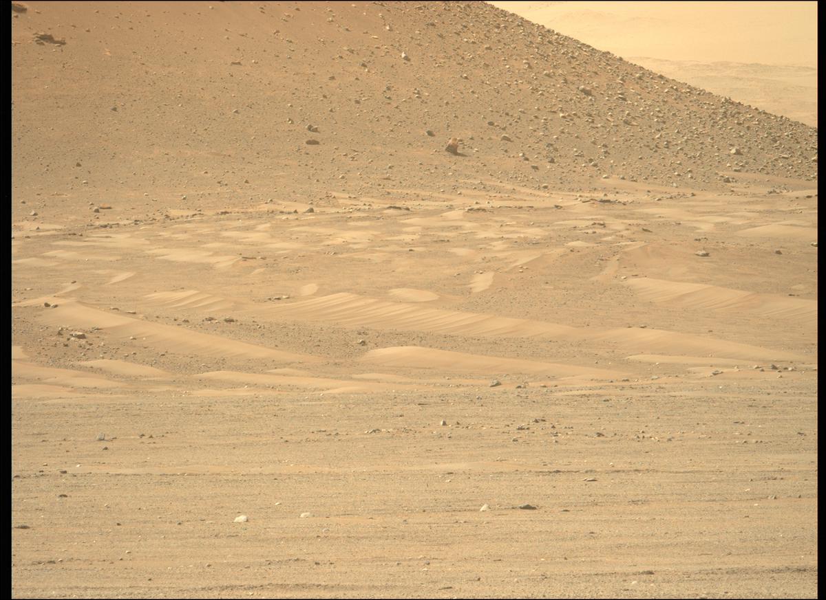 This image was taken by MCZ_LEFT onboard NASA's Mars rover Perseverance on Sol 409