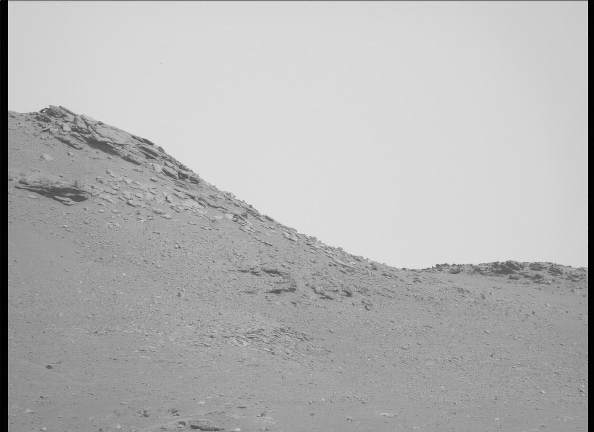 This image was taken by MCZ_LEFT onboard NASA's Mars rover Perseverance on Sol 411