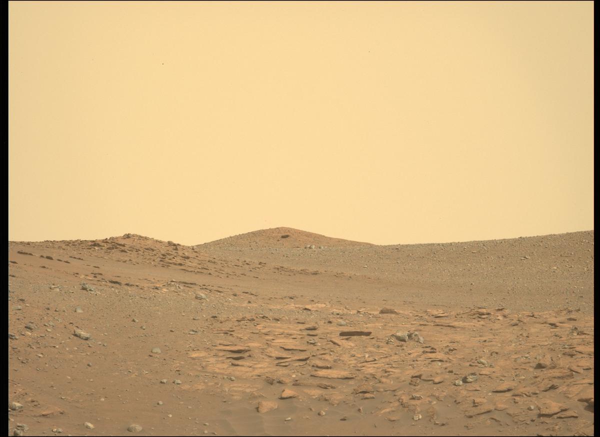 This image was taken by MCZ_LEFT onboard NASA's Mars rover Perseverance on Sol 411
