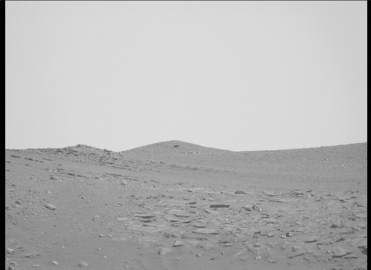 This image was taken by MCZ_LEFT onboard NASA's Mars rover Perseverance on Sol 411